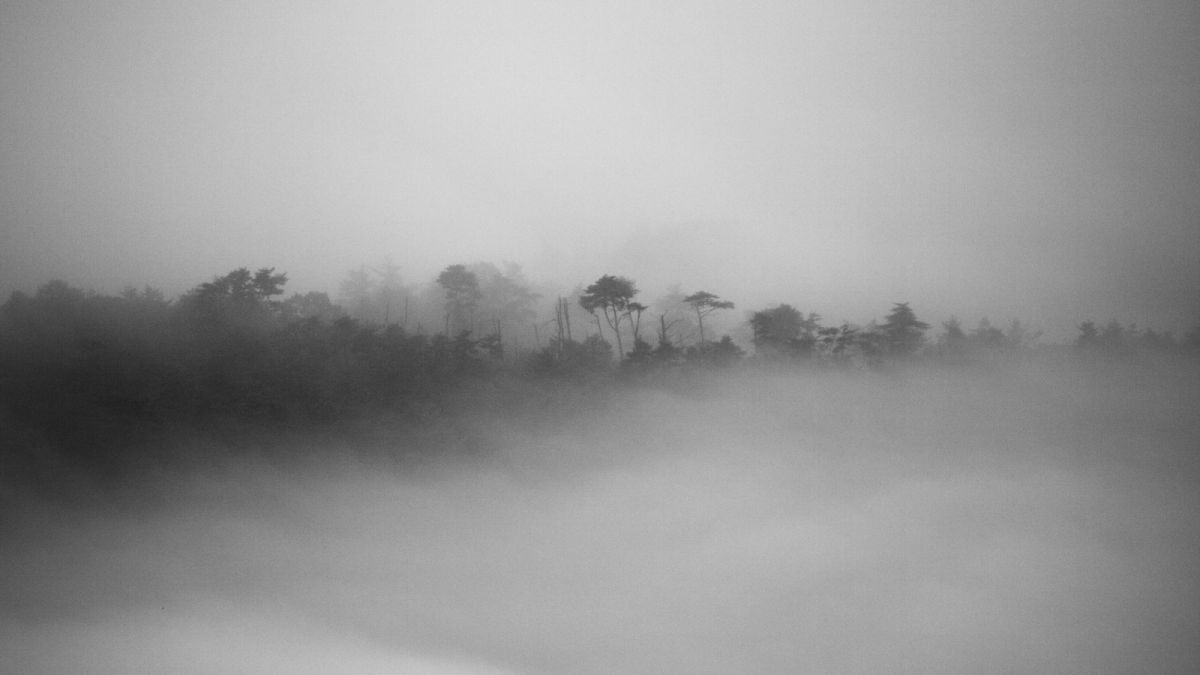 水墨霧 霧山水 | GANREF