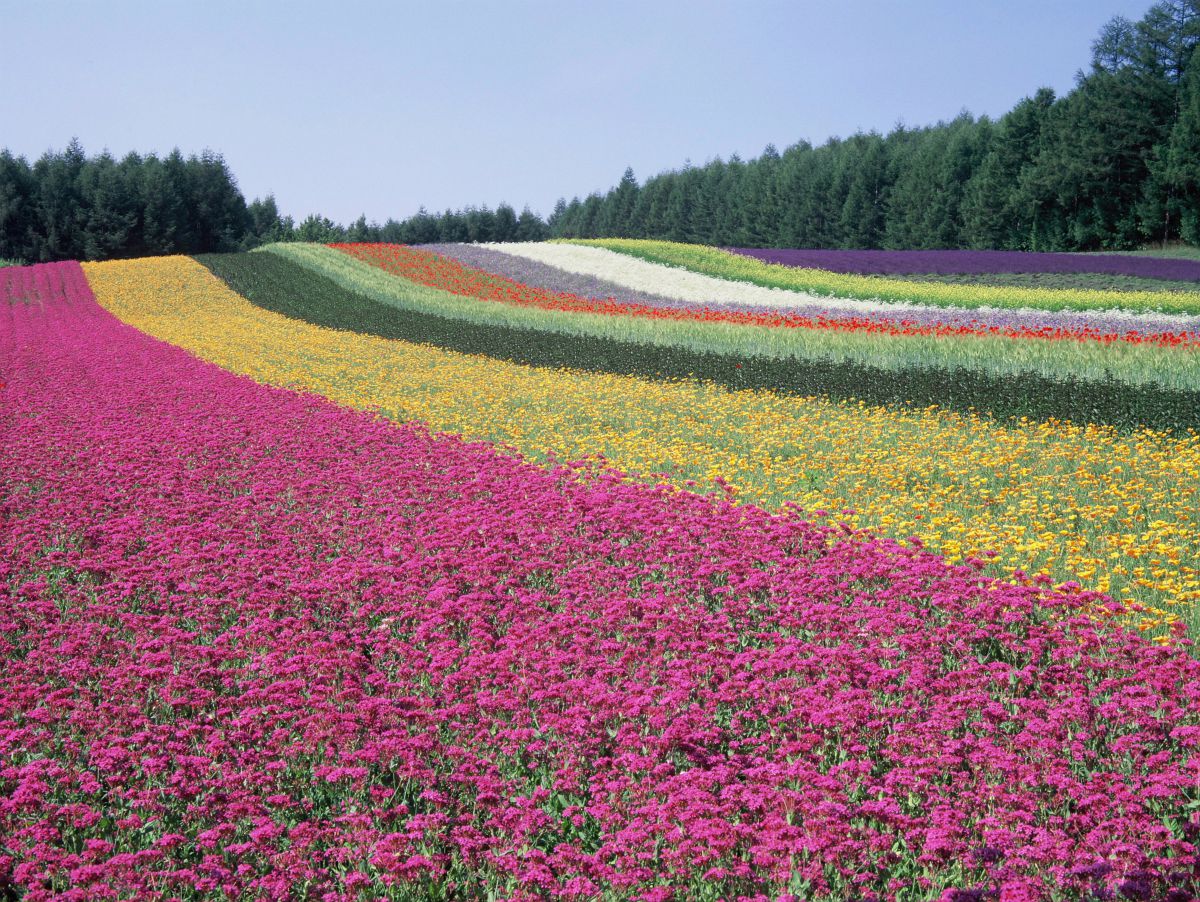 31cda665a0220b8cc52598b46b2efe