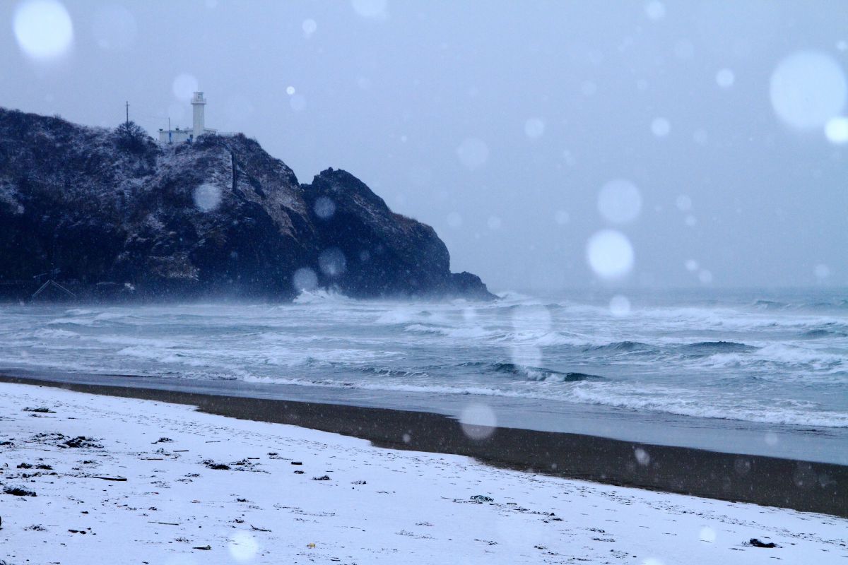 雪海月ページ 海雪 | GANREF