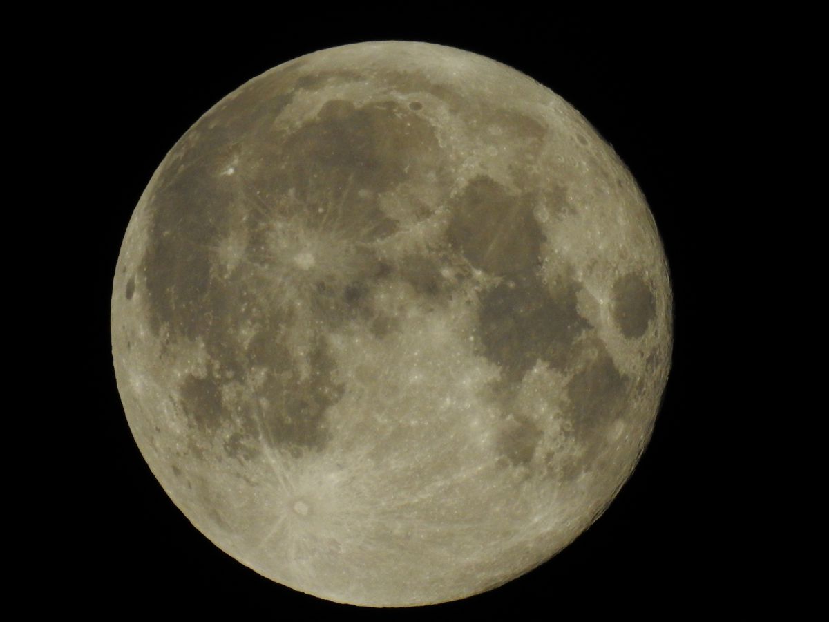 SUPER MOON | GANREF