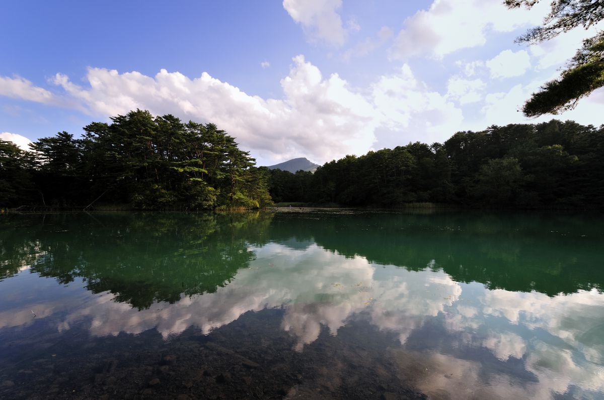 Beautiful World | GANREF