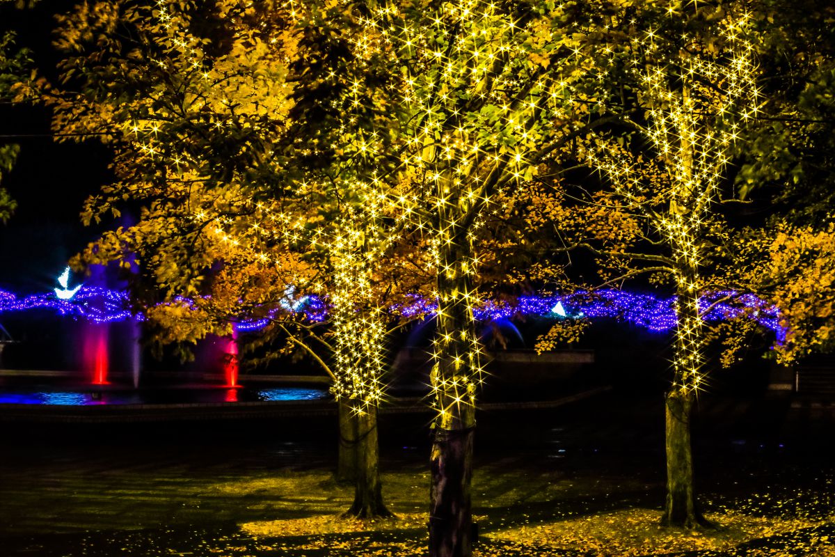 Golden Autumn | GANREF