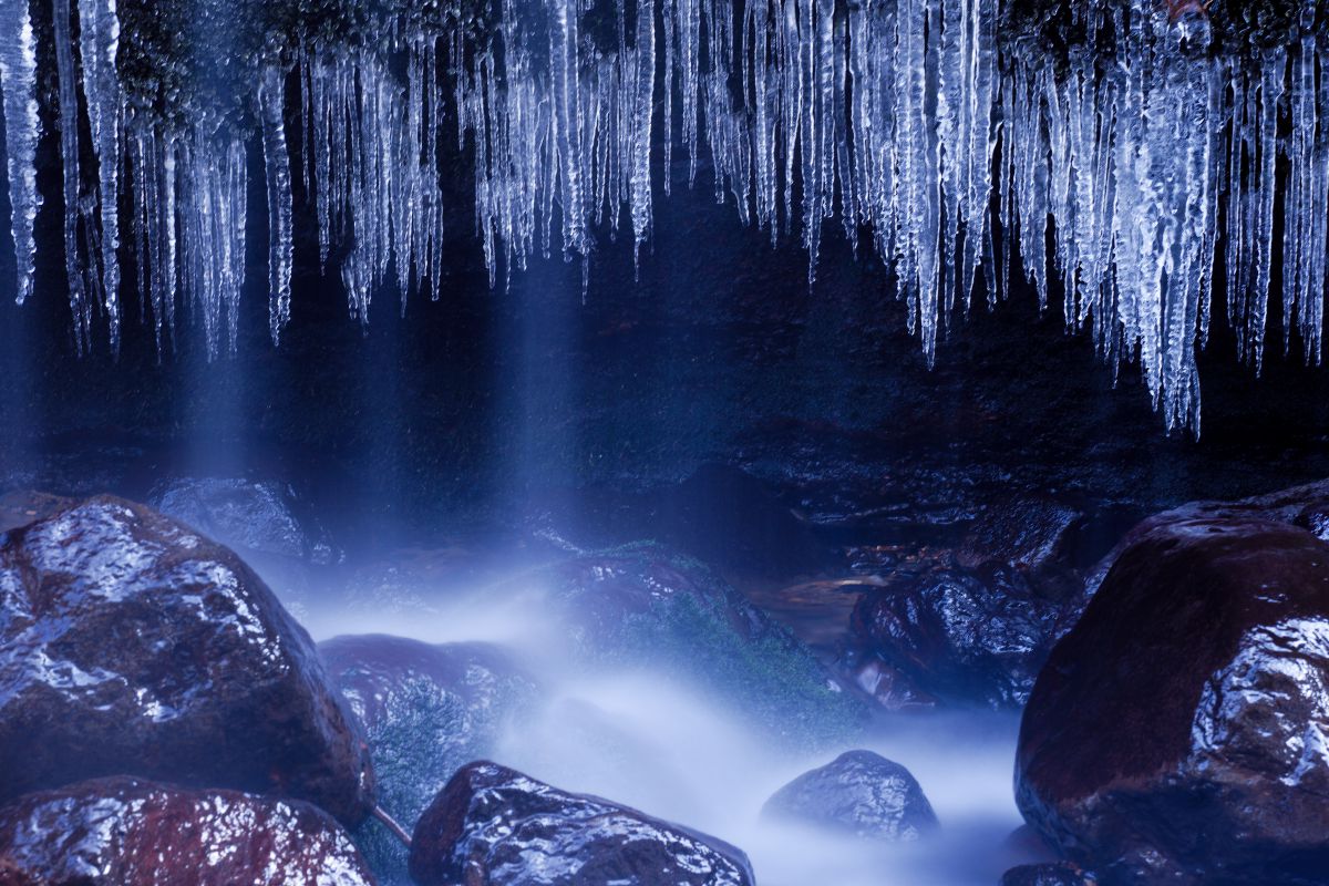 氷の世界2019Ⅳ | GANREF