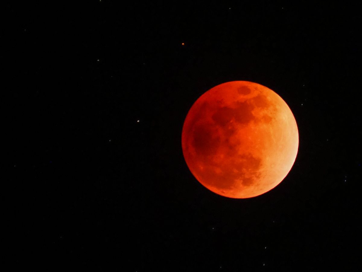 RED MOON | GANREF