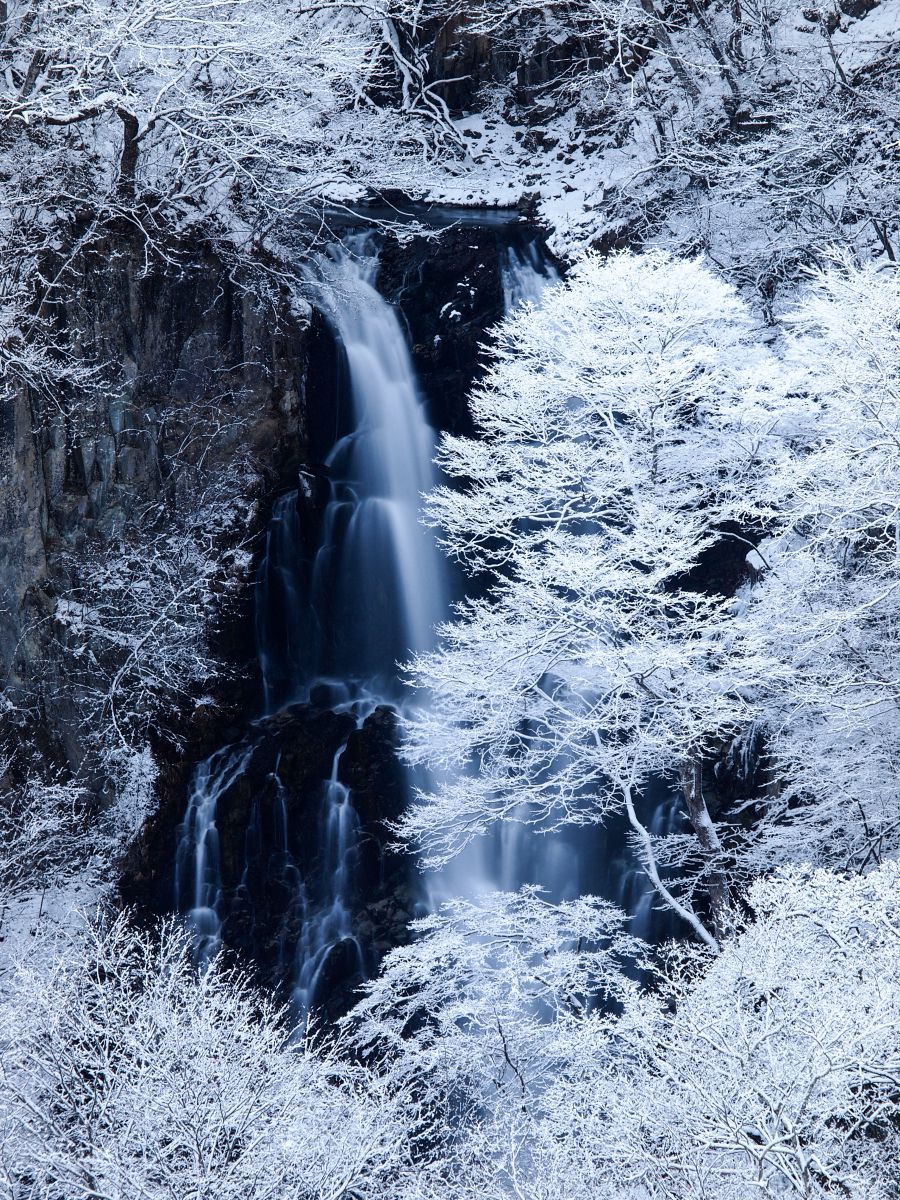 【真作】掛軸　里山の情景　霧深き故郷の風景画　自然と人の営み　情景美　Q51 真作】掛軸里山の情景霧深き故郷の風景画自然と人の営み情景美Q51