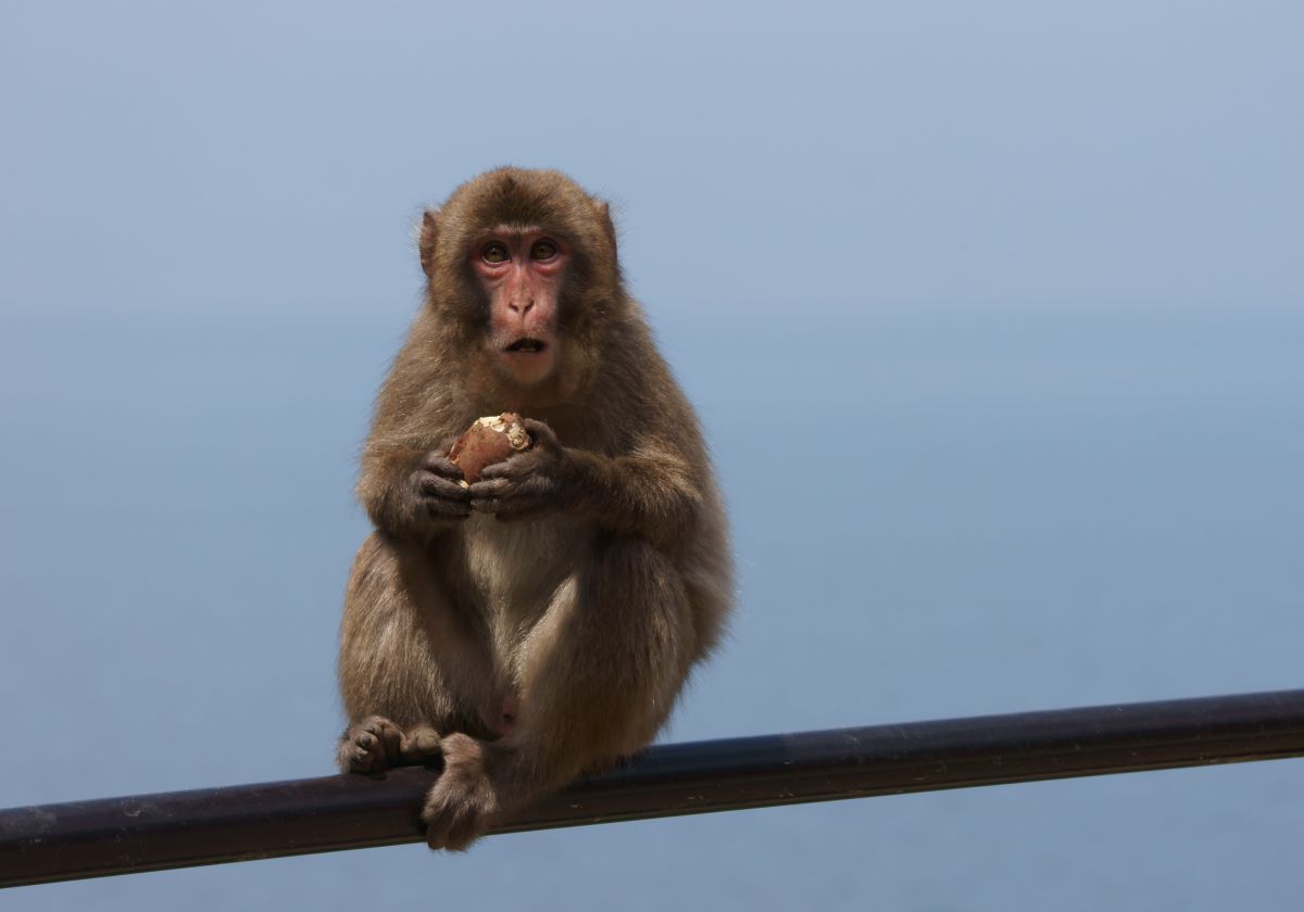 363f53ee64b89266f0de7b3bfe0f63