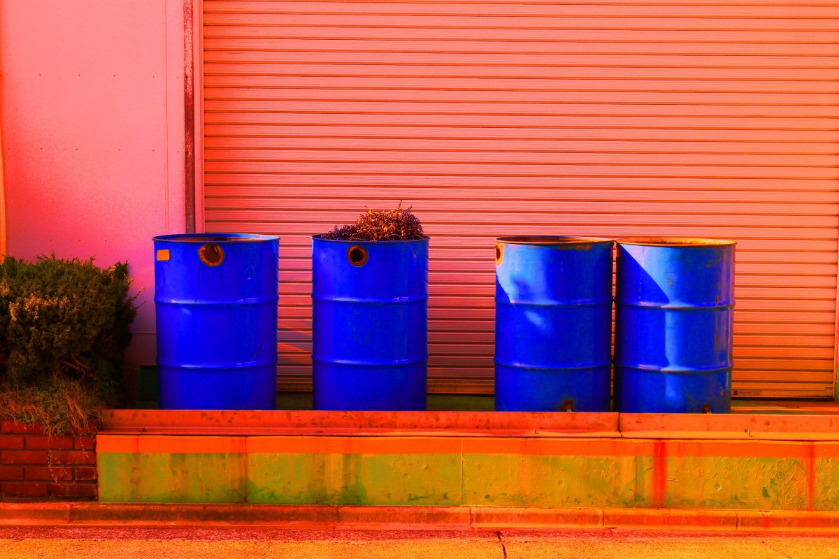 Blue Drum | GANREF