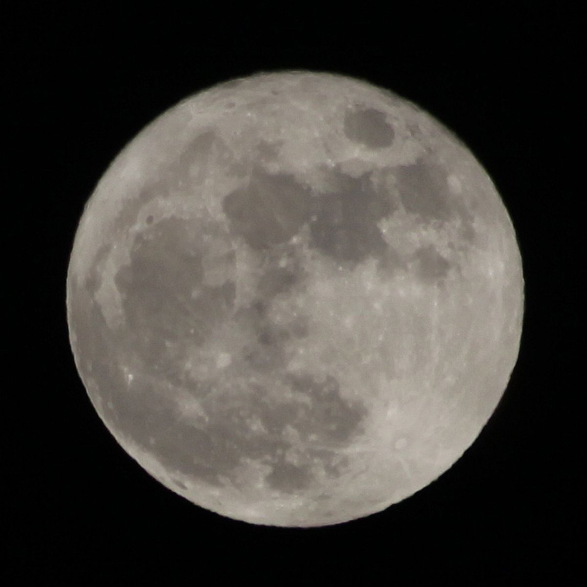 the moon | GANREF