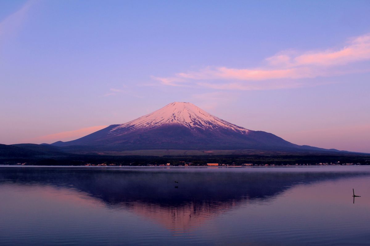 47805687ec3eb8e24281a5e1314358