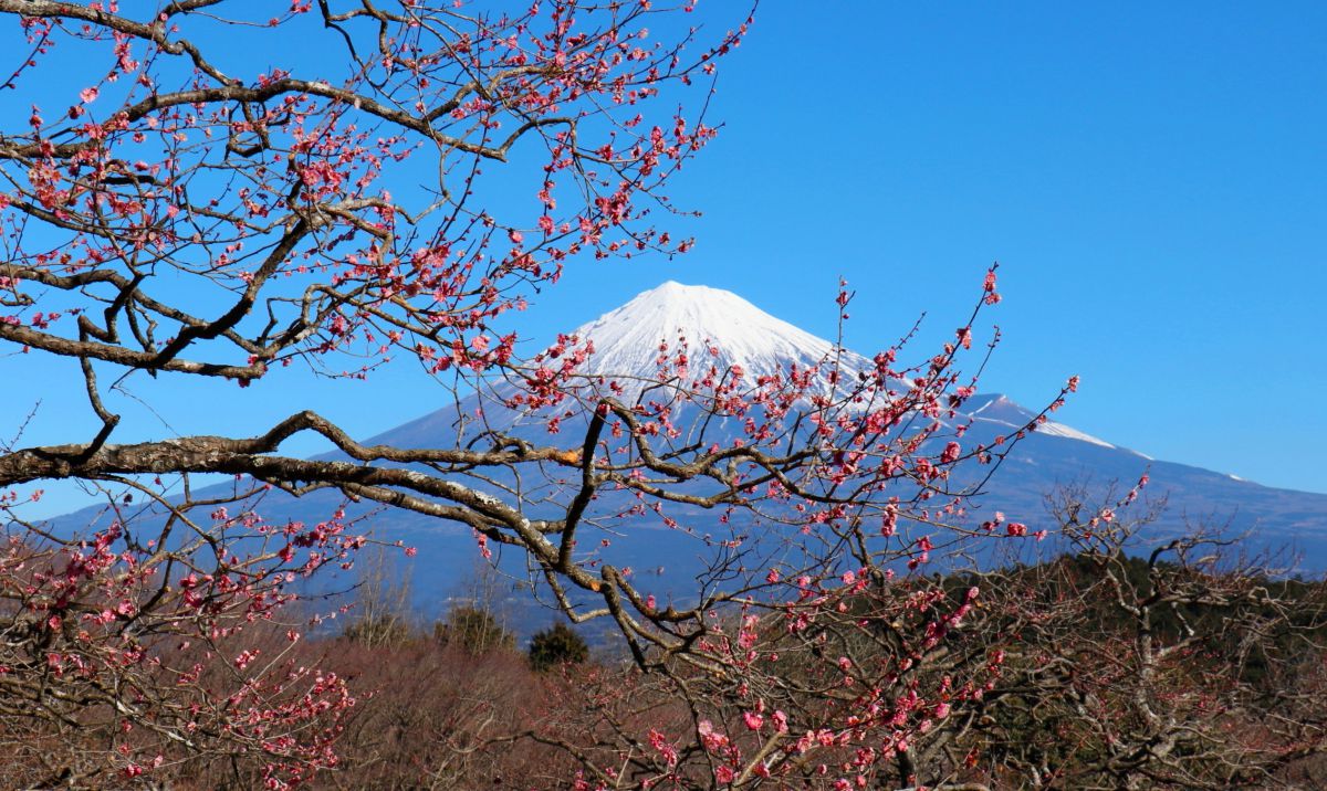 立春の富士 | GANREF