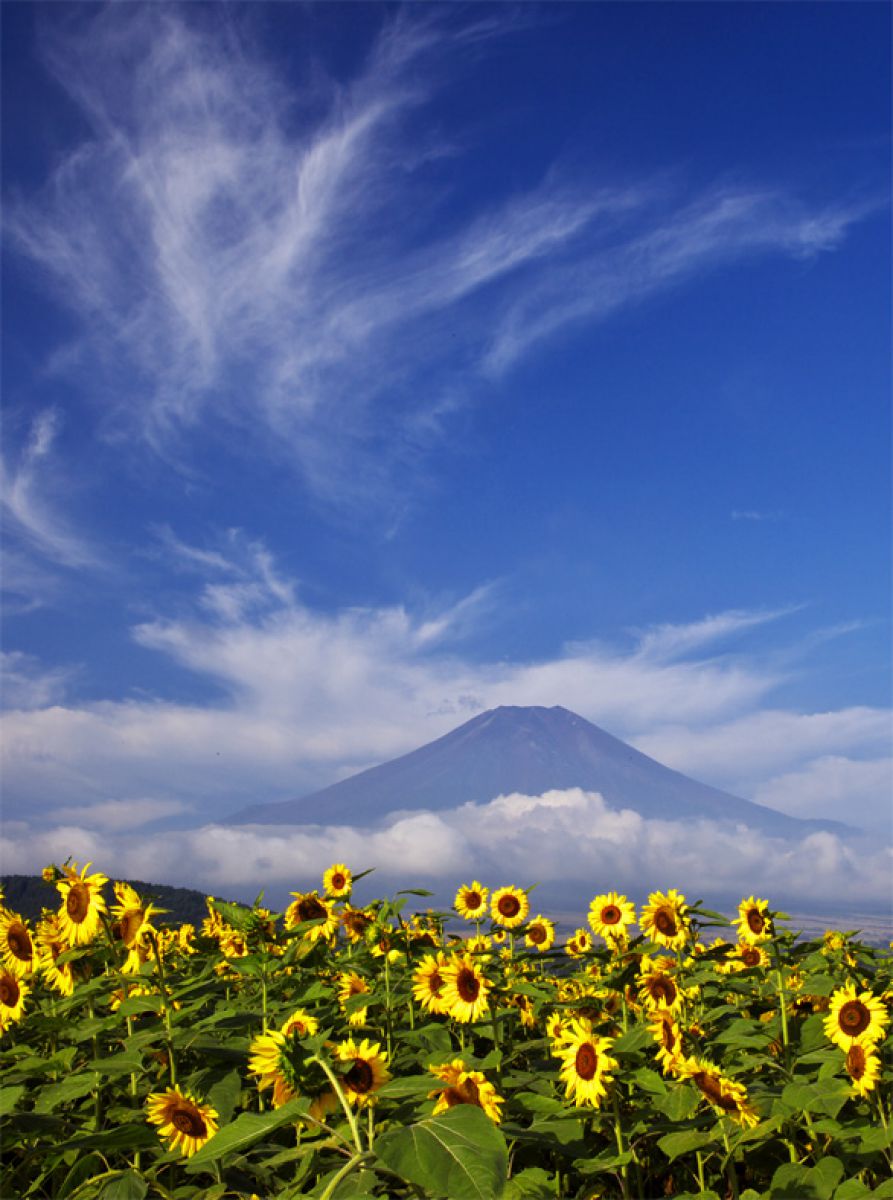 夏の終わりに Ganref 夏の終わりに Ganref