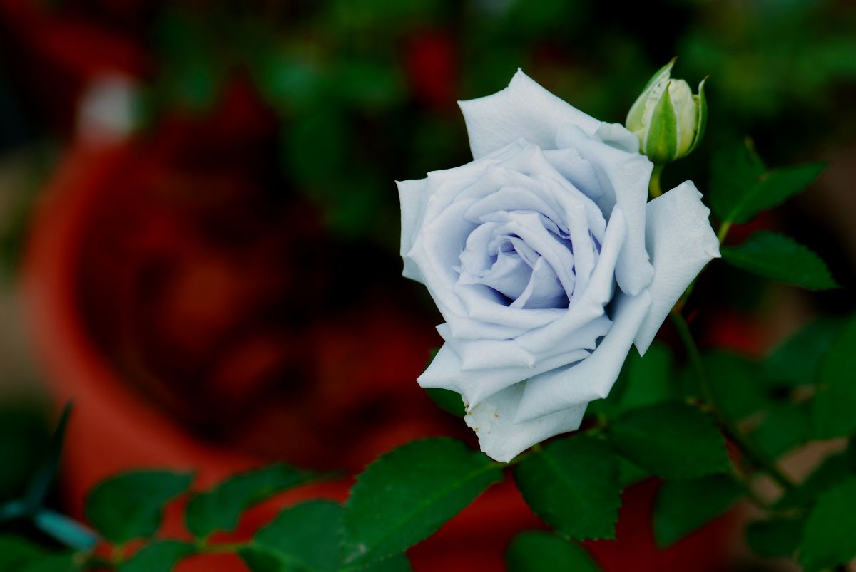 9b38fb42c979f24dbbc6c0e7d4f612