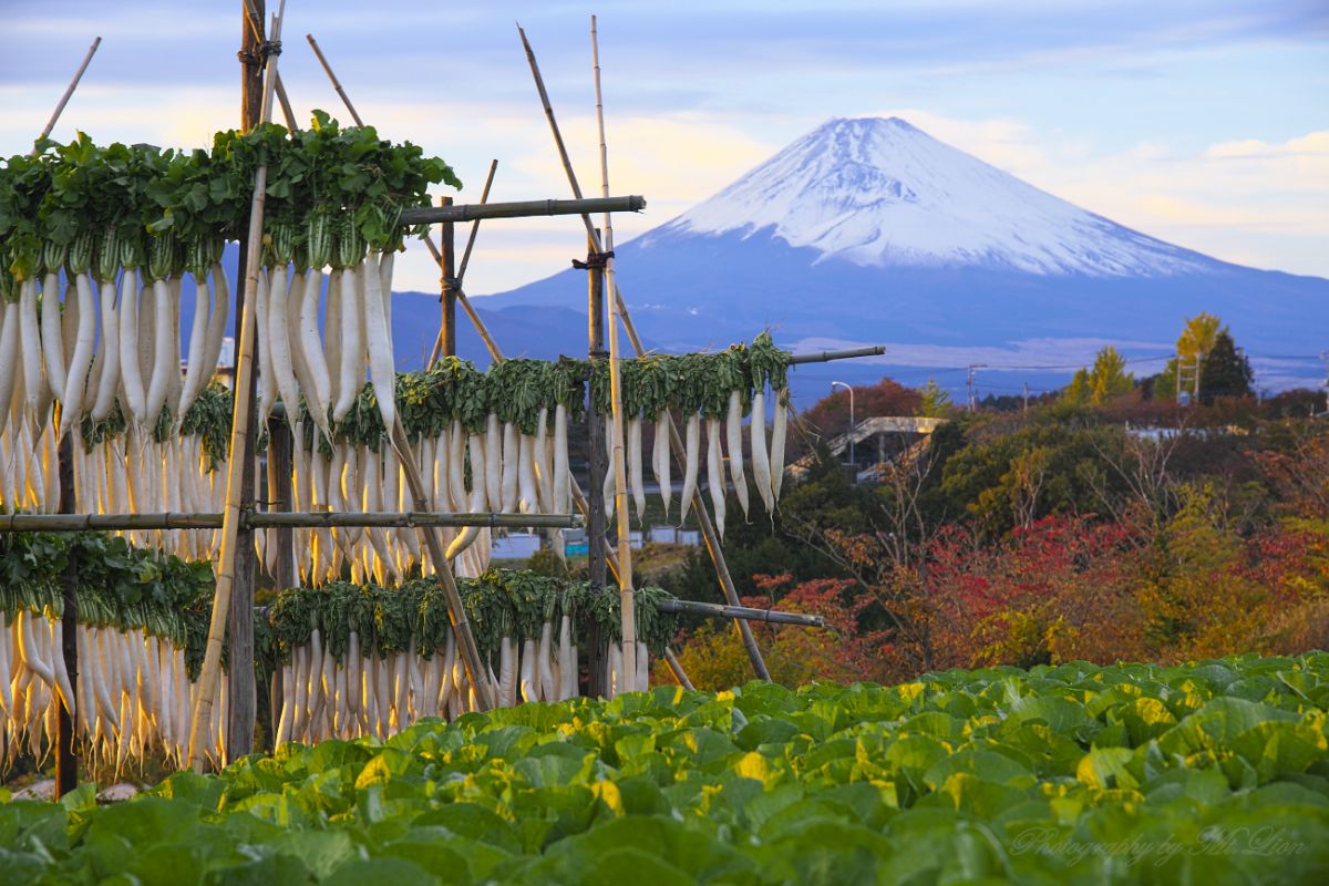 日本の原風景 増山修水彩画集 - 日貿出版社