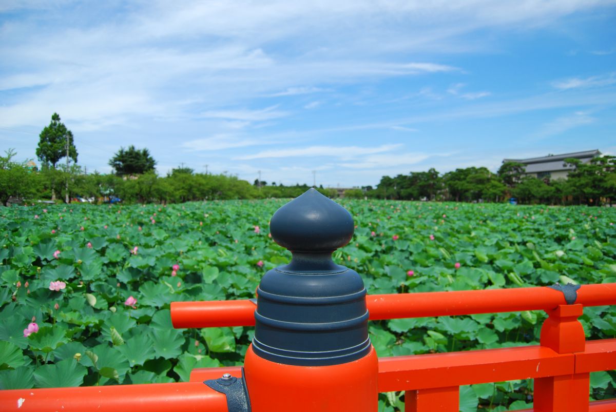 高田公園にて | GANREF