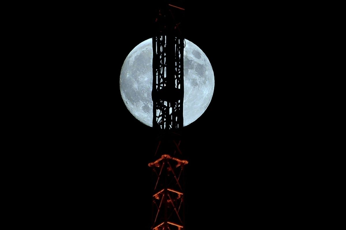 Blue Moon | GANREF