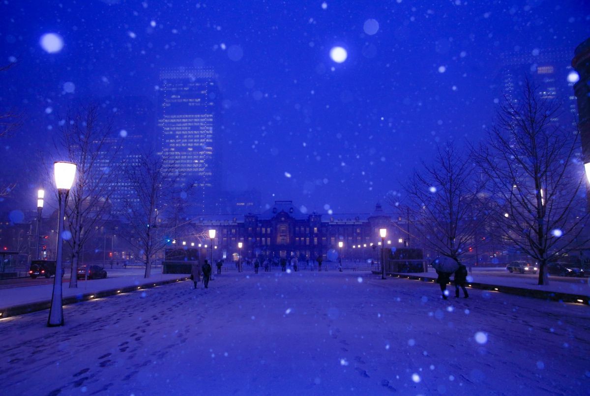 winter fall | GANREF
