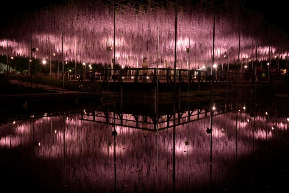 Reflection | GANREF
