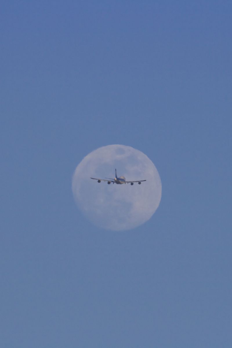 Flying to the Moon | GANREF