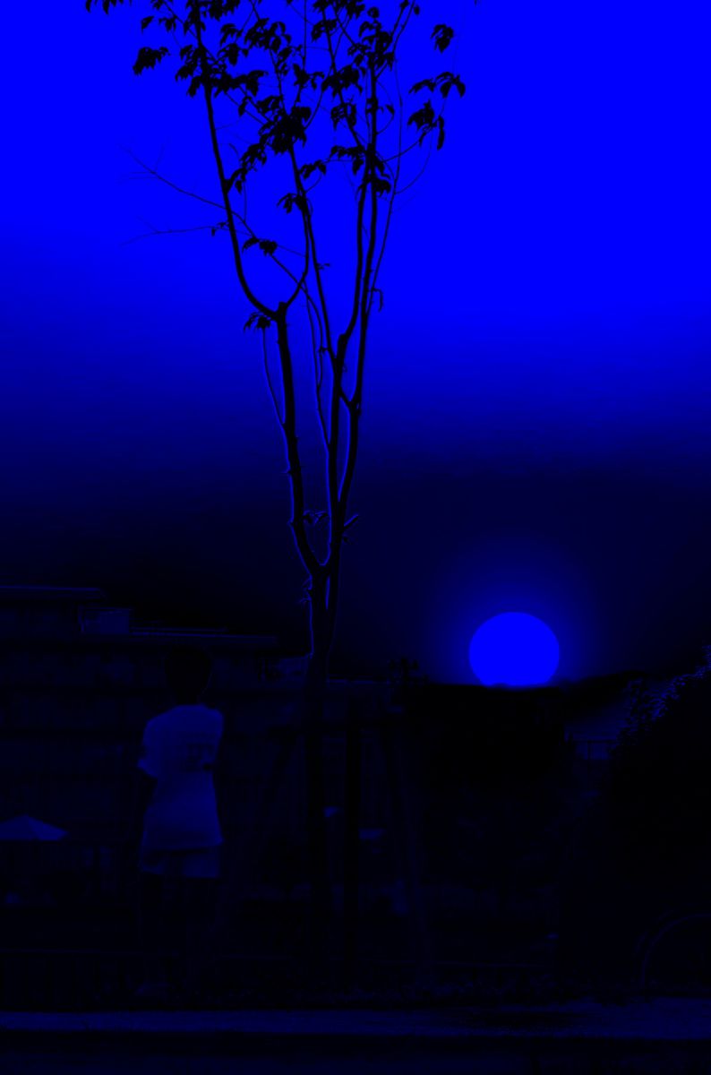 沈み行く青い太陽 GANREF