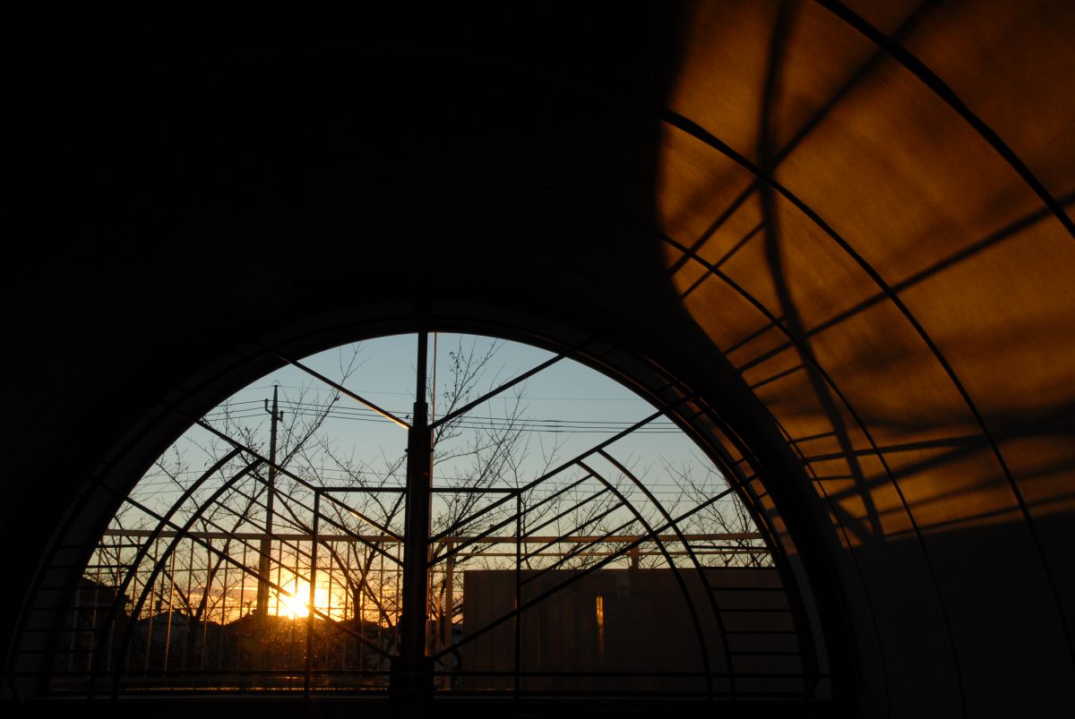 Sunset | GANREF