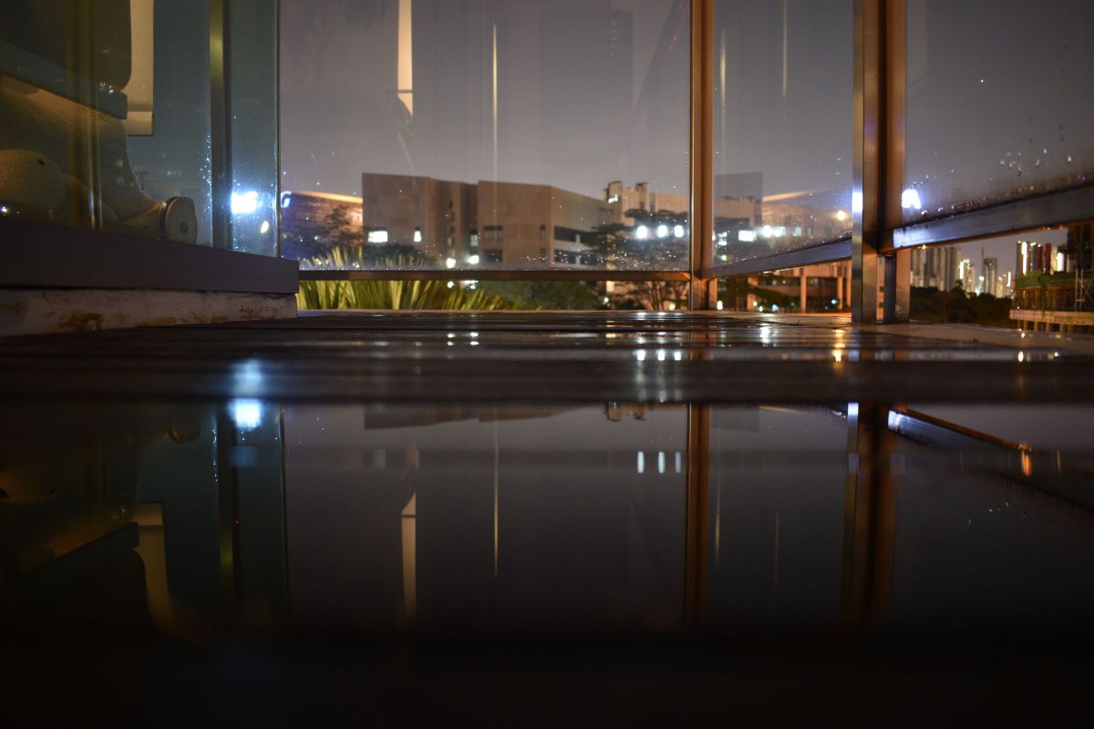 The Reflection | GANREF