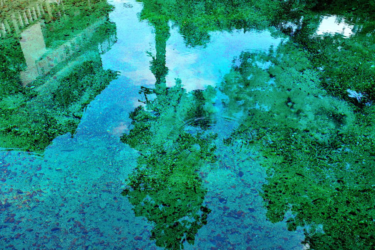Blue in Green... | GANREF