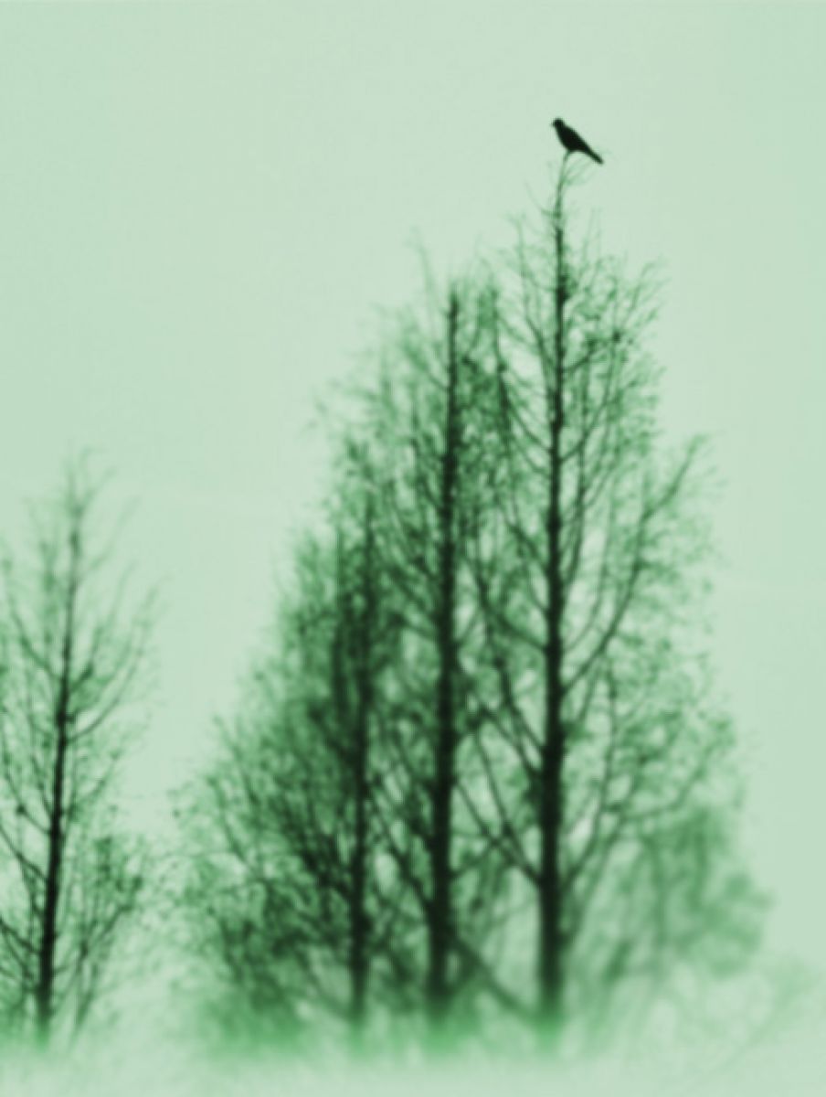 dream | GANREF