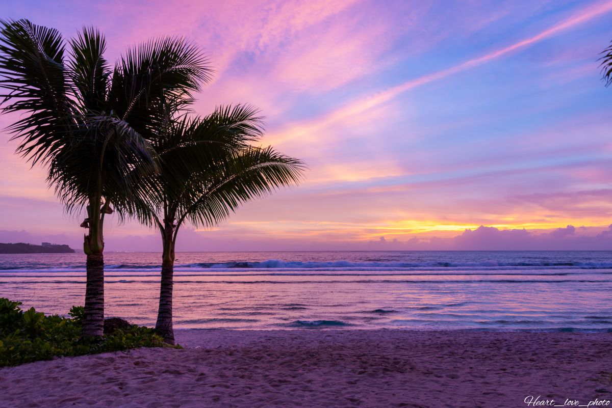 The beach | GANREF
