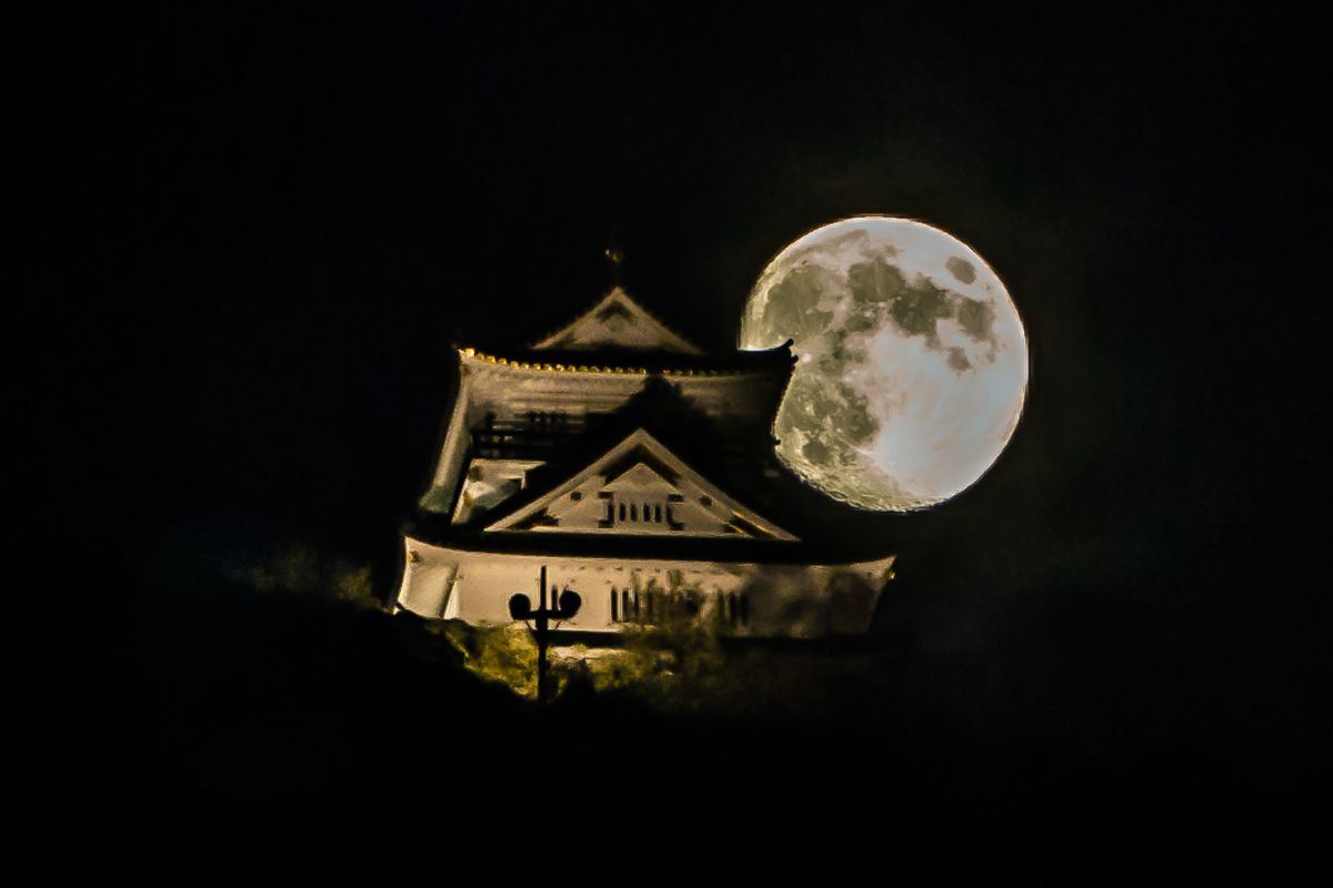 長月の十三夜 | GANREF
