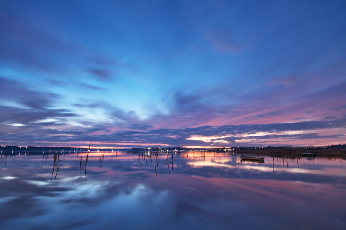 reflection | GANREF