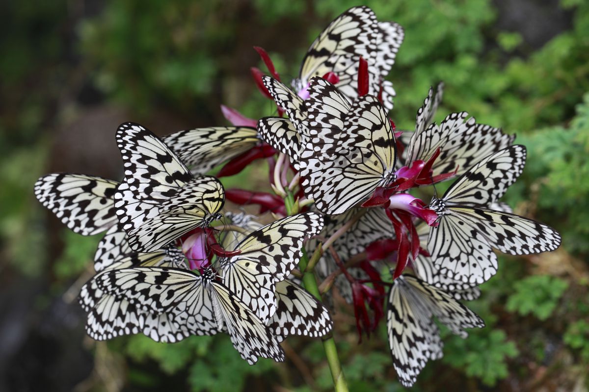 343df27adde2bdb966ee46f5e6e5fc