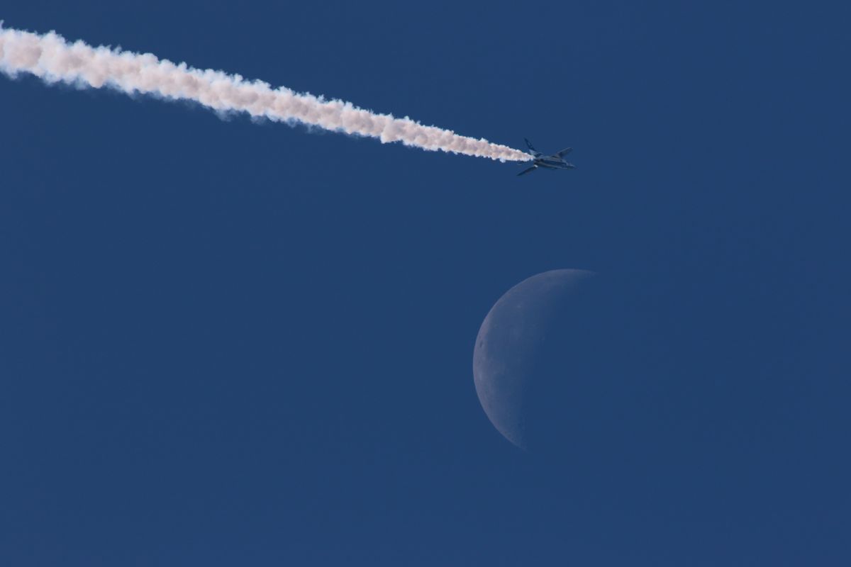 blue moon | GANREF