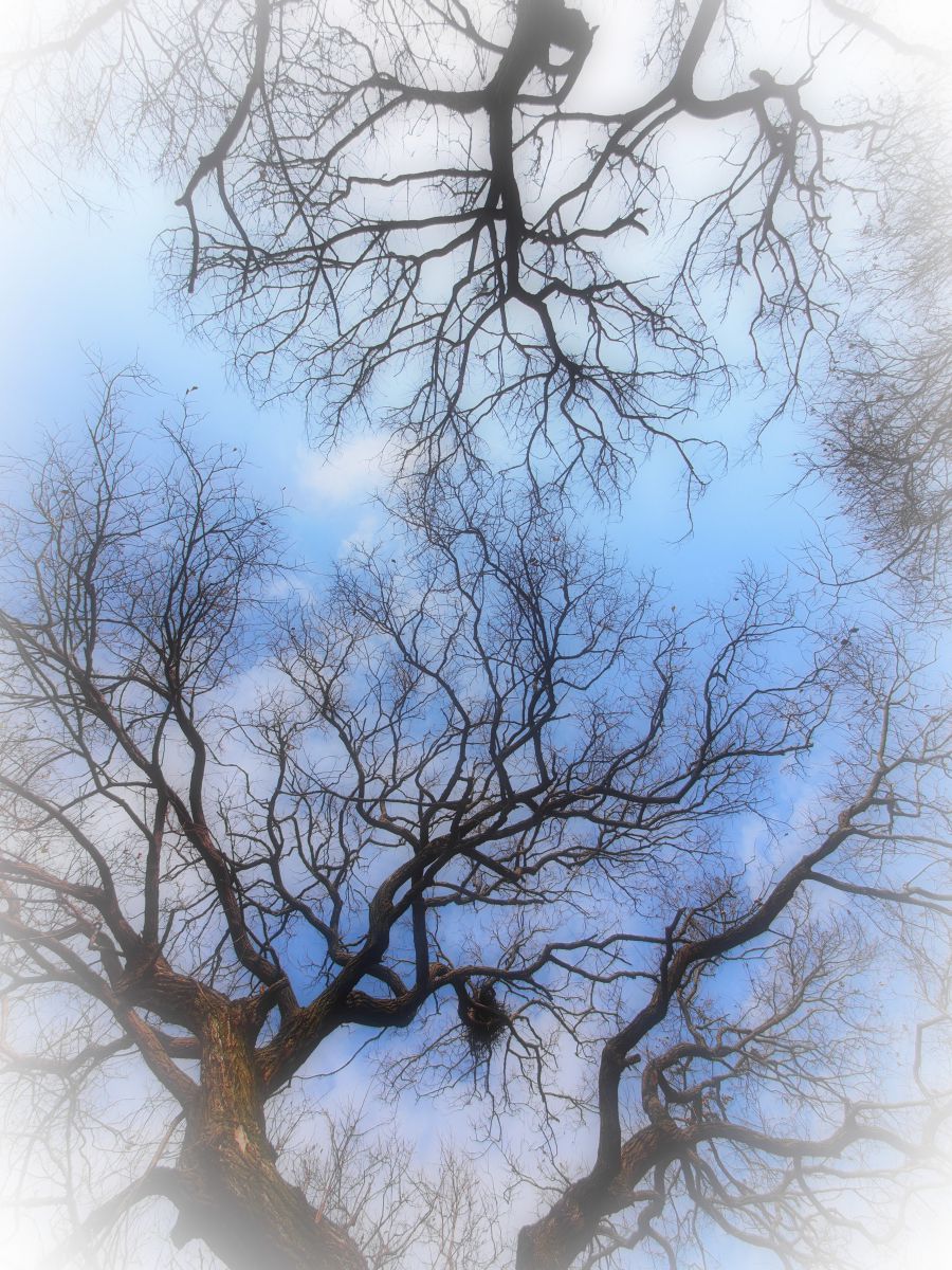 winter blue | GANREF