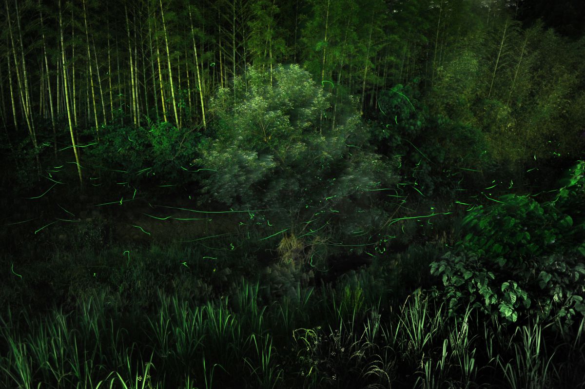 035e2c6994b3262aa829f7c66509dc