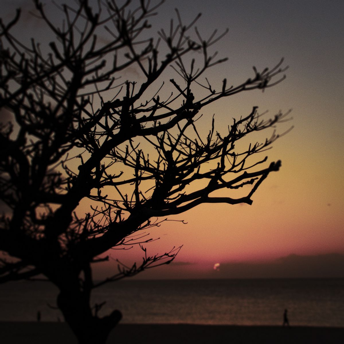 peaceful day | GANREF