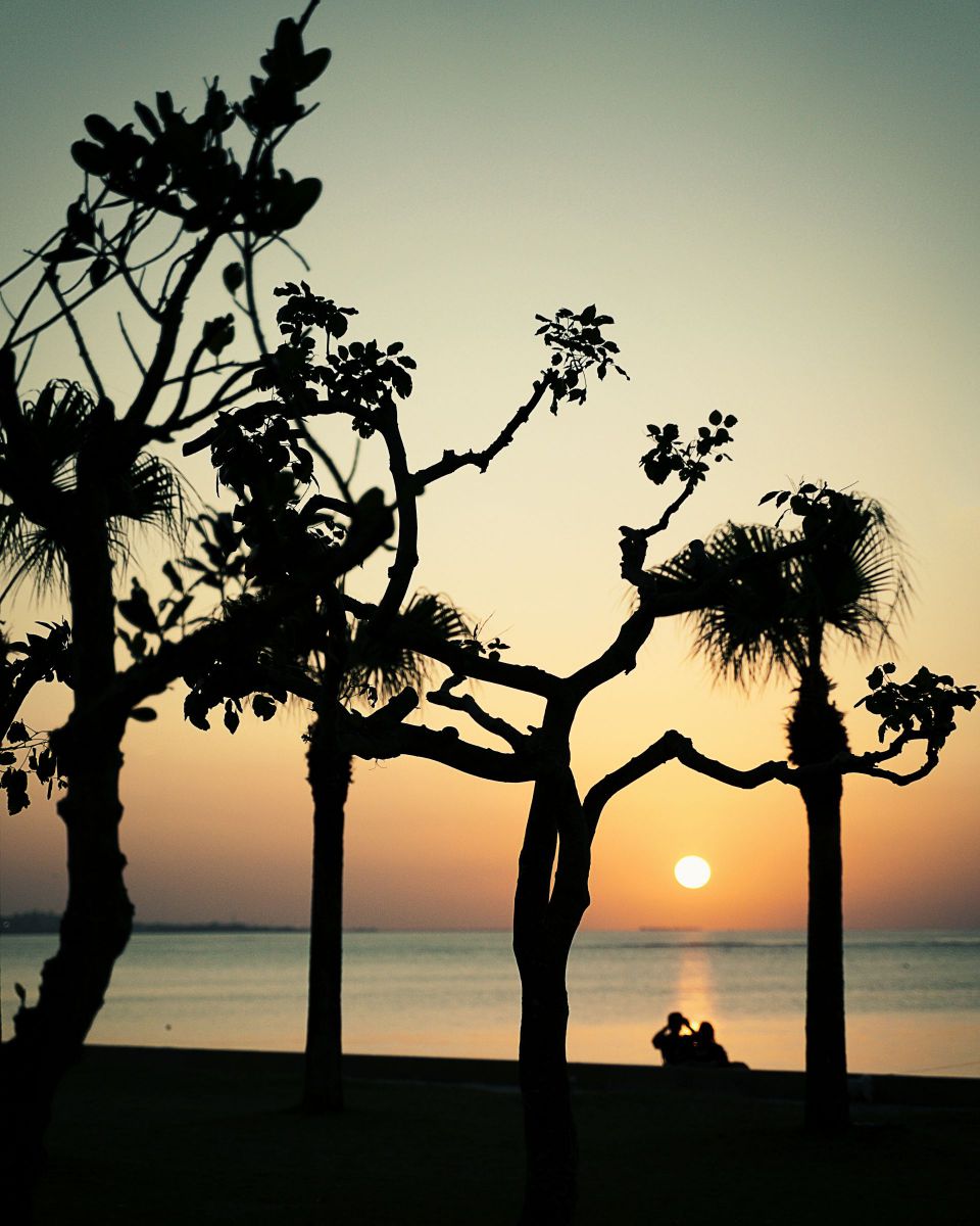 sunset view | GANREF