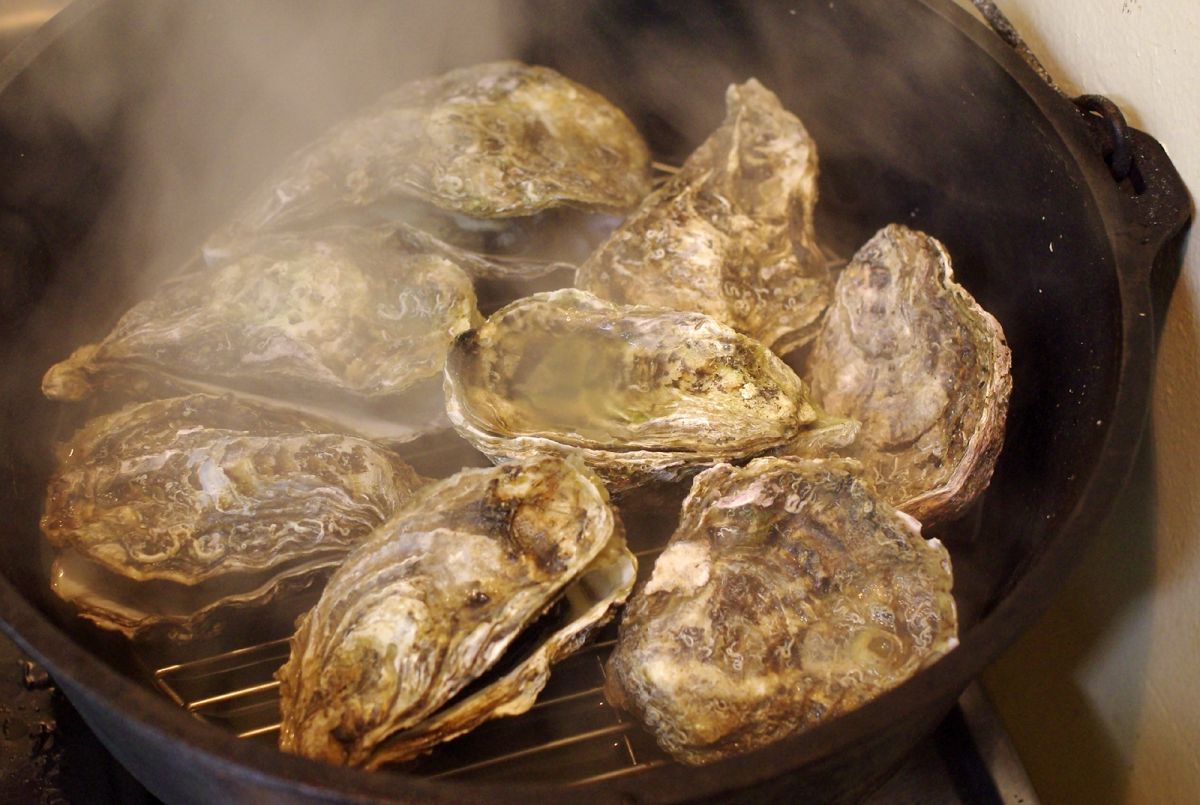 steaming oysters GANREF