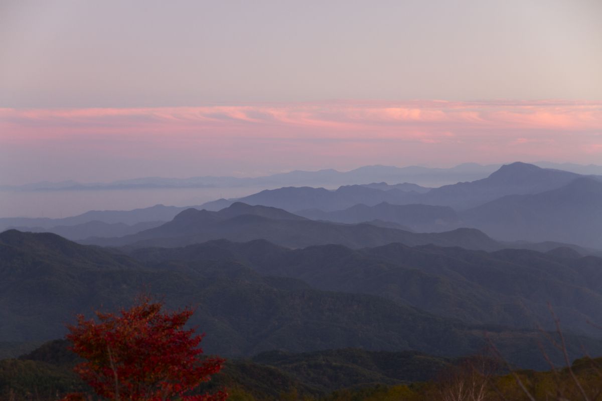 茜の空に GANREF 茜の空に GANREF