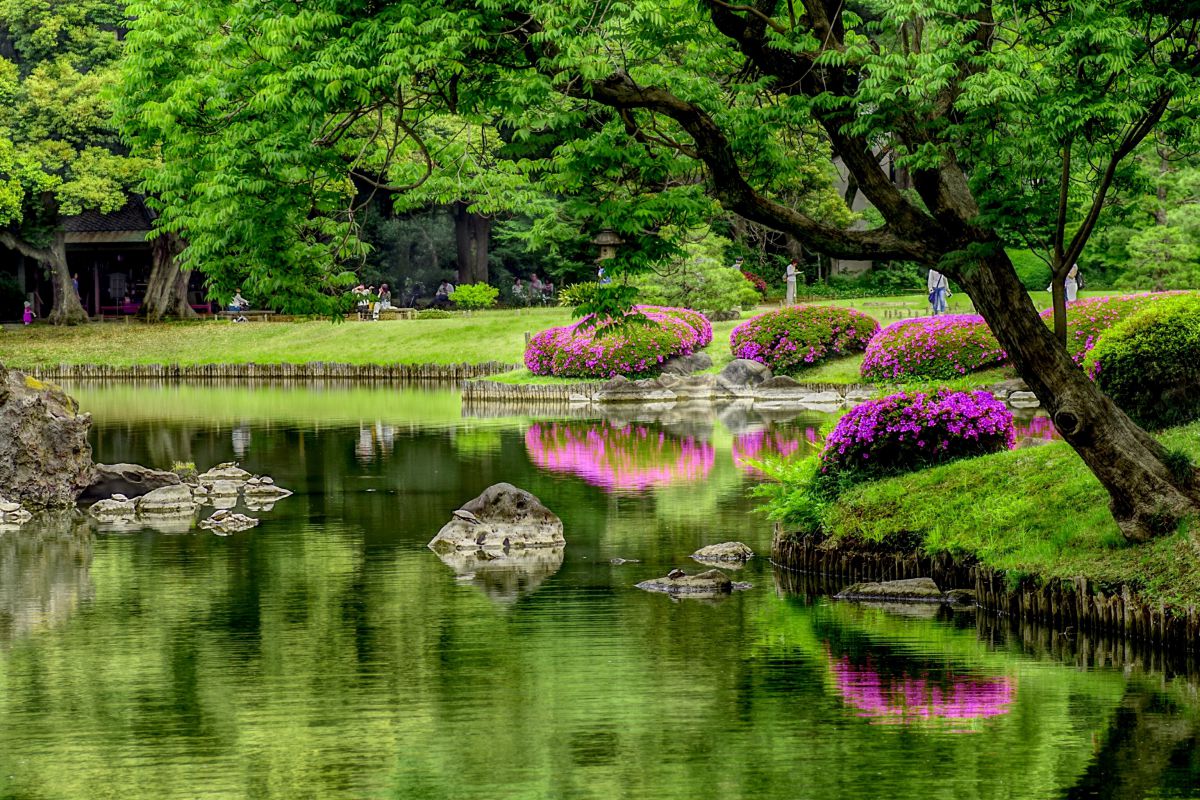 六義園・夏の訪れ | GANREF
