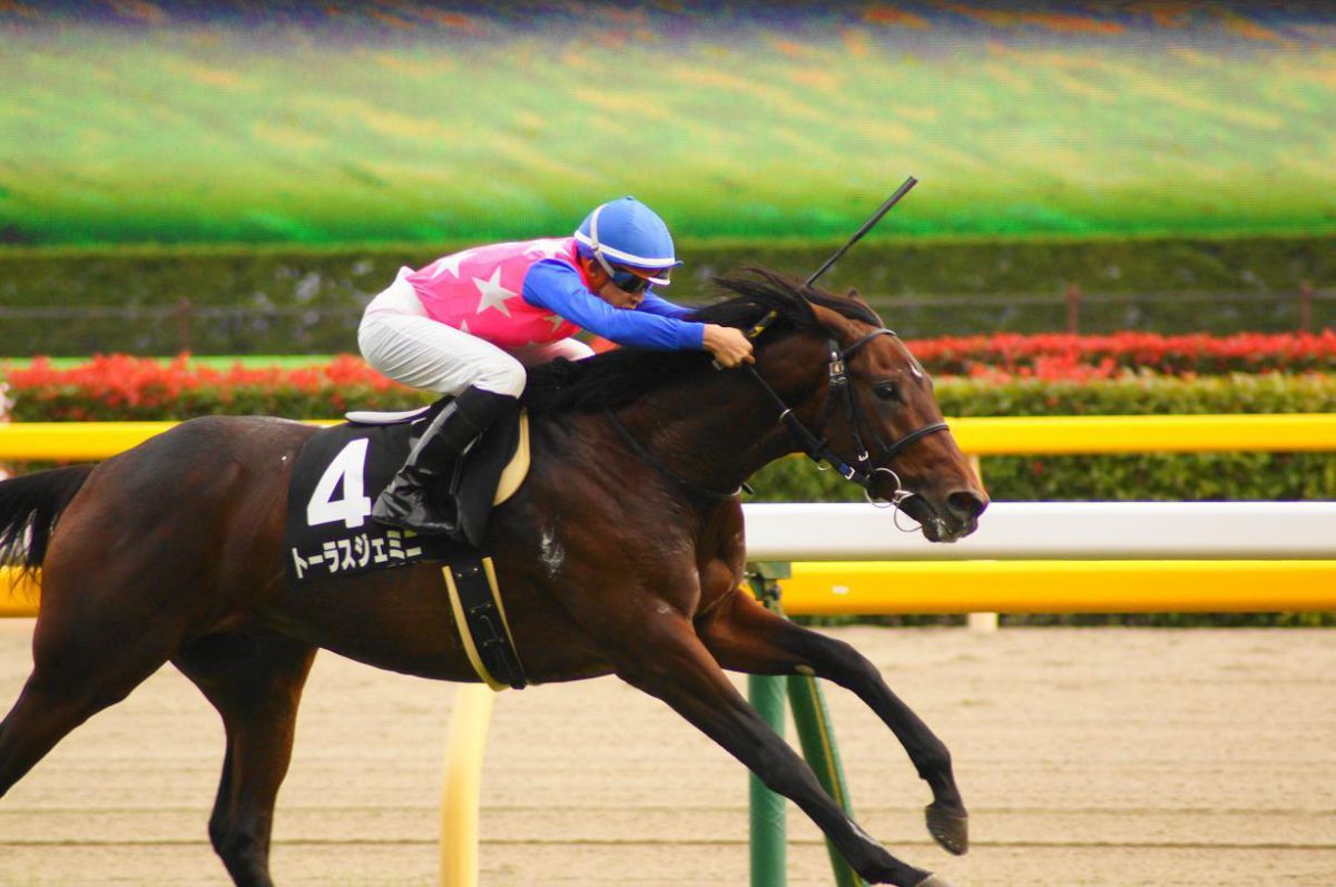 ジョッキー GANREF