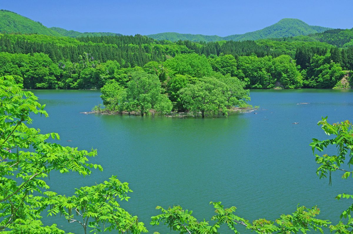 緑の浮島 | GANREF