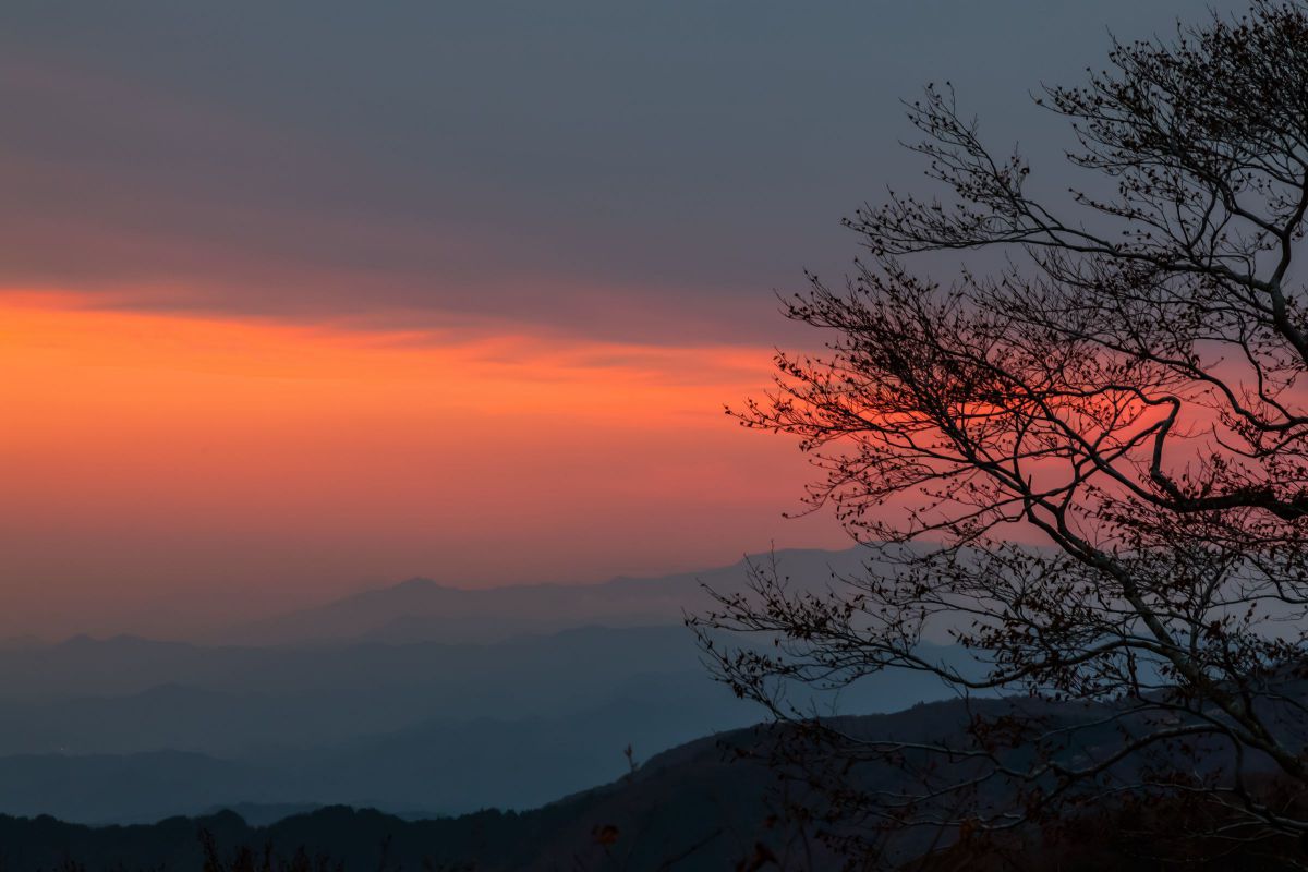 遠い山並み | GANREF