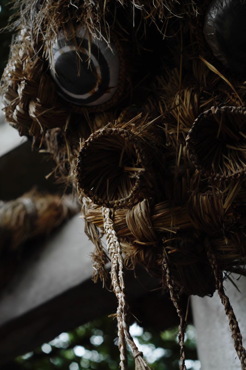 Dragon head | GANREF