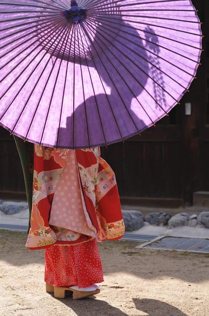 舞妓傘‐モダン椿 和柄テキスタイル 三つ折り畳み傘‐TSUBAKI／生成｜