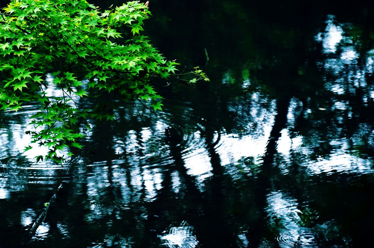 Blue Flow | GANREF