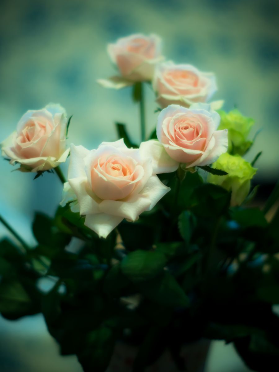 【貴重美品】湖に咲く薔薇 状態A-〕(2016/3)湖に咲く薔薇【R】{BSC26-045}《緑》