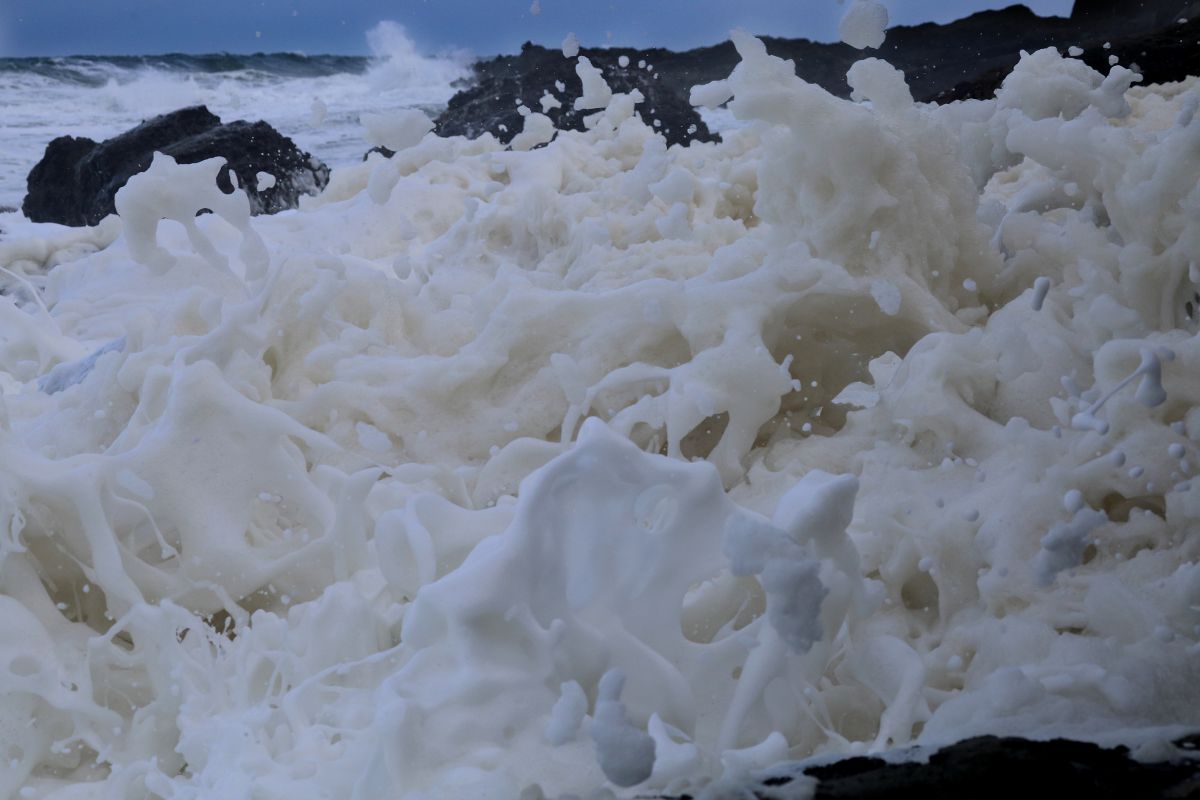 ー 波の華満開の図 ー Ganref