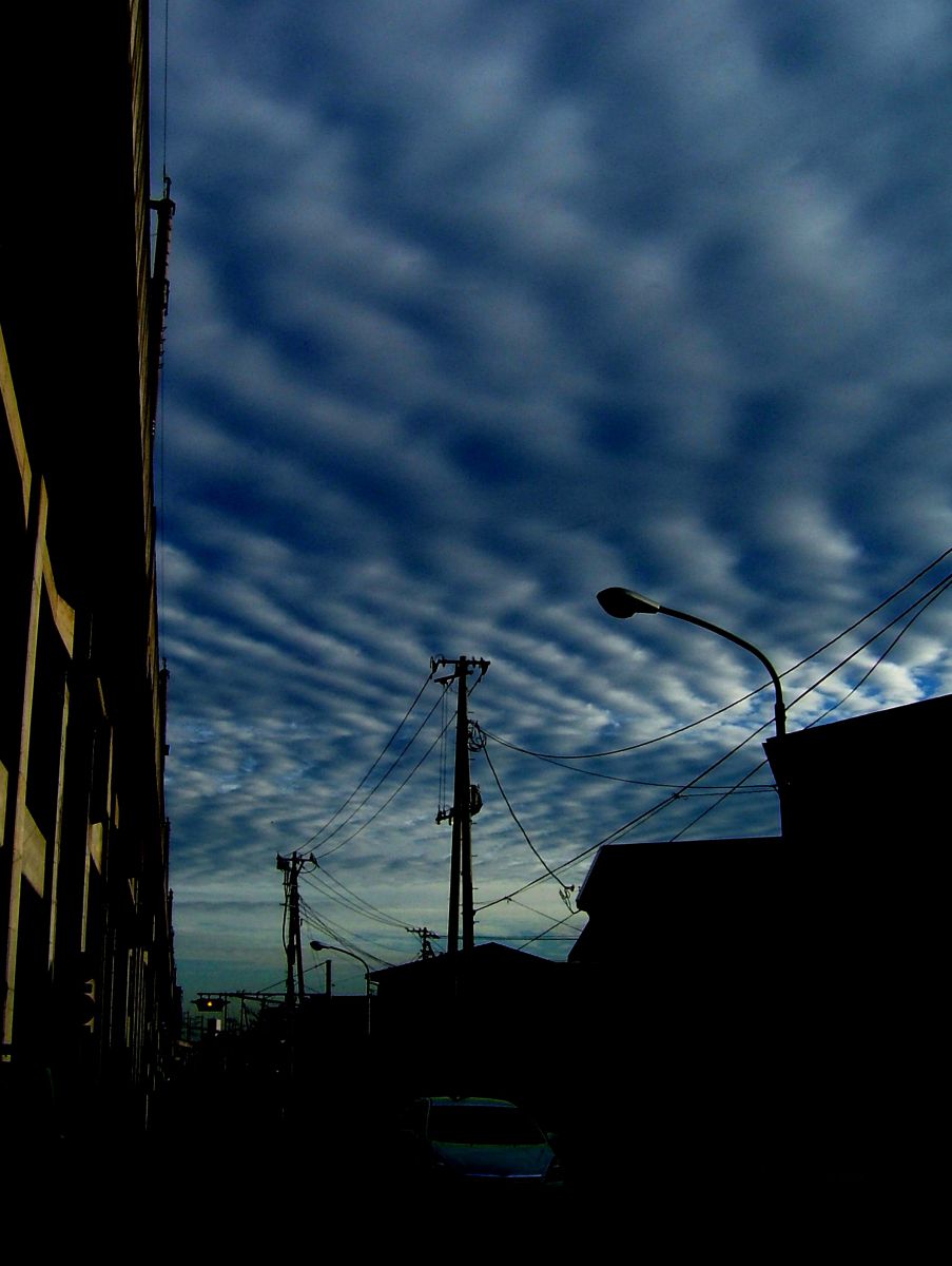 空0510_A_0043i.jpg | GANREF