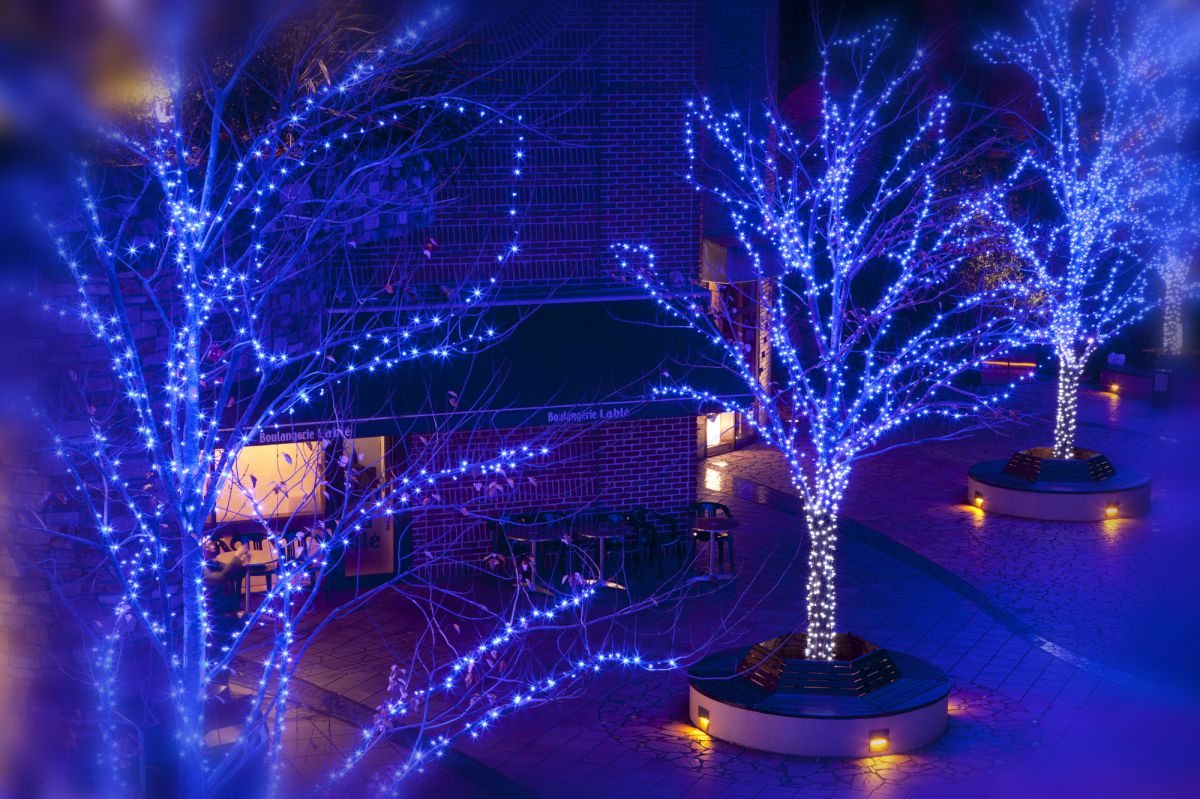Winter Blue | GANREF