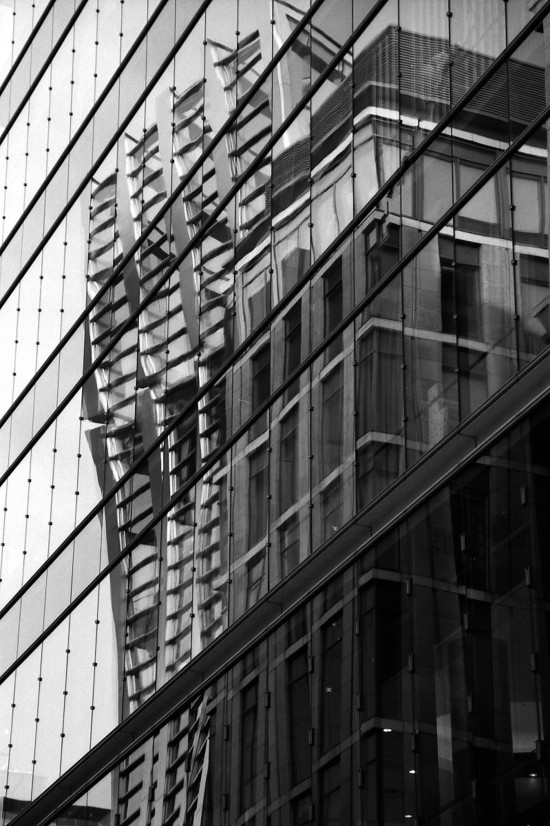 reflection | GANREF